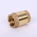 Brass 1" Check Valve/ Brass & Spring Made Of Stailess steel. 