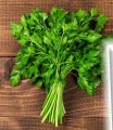 50+ Loose Packed Seed Of Parsley Elite, Botanical Name: Petroselinum crispum, Excellent Quality Seed Can Grow All Over Nepal, Non GMO Seeds. 