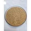 Kaguno (With Cover)  - Foxtail Millet- Sridhanya Millet , 1 Kg-. 