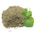 ShopWholly Premium Brahmi Powder (Ghodtapre) – 100% Natural Ayurvedic Herbal Supplement for Memory, Focus, Stress Relief & Wellness – 100g / 200g. 