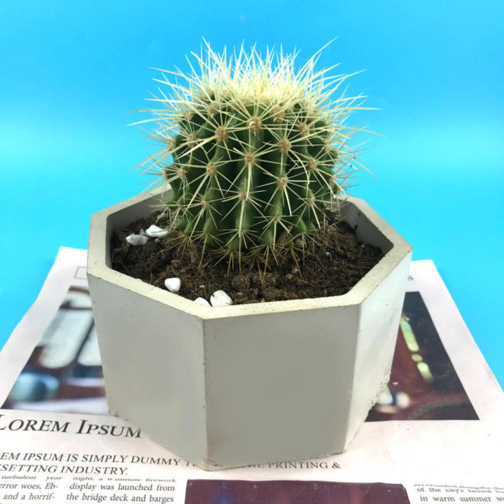 Concrete%20Cement%20Pot%20Molds%20Craft%20Flowerpot%20Epoxy%20Resin%20Clay%20Mould%20Home%20Decoration%20Flower%20Pot%20Silicone%20Mold%20DIY%20Handmade%20Large%20-%20Image%207