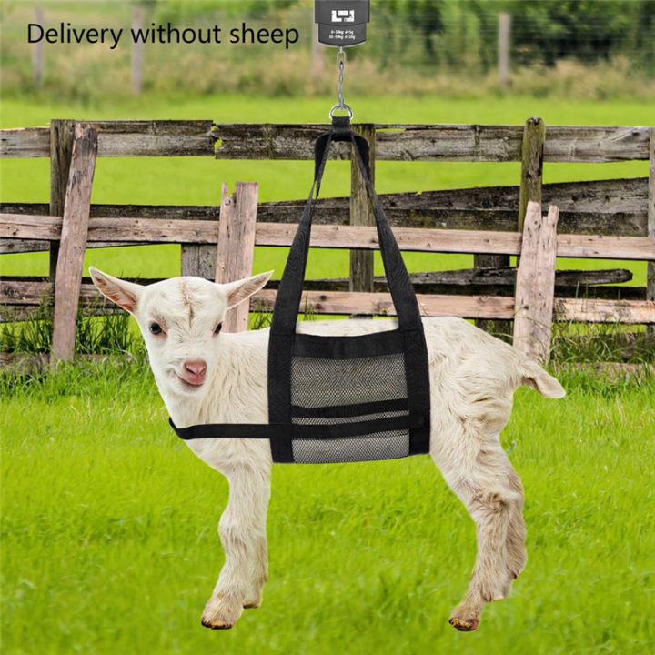 2PCS%20Weighing%20Bag%20Goat%20Sling%20for%20Weighing%20Animals,Small%20Animal%20Weighing%20Sling,Livestock%20Sling,Calf%20Scale%20Hanging%20Weight%20Scale%20Sling%20-%20Image%202