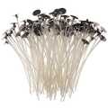 Candle Making Cotton Wick 9" 50 Pcs. 