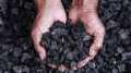 HN To Prepare 800 Grams Natural Stone Coal Wood Charcoal for Barbecue/ Grilling (कोईला) - 800 Grams. 