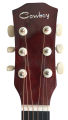 COWBOY W-C38 Beginners Guitar With Free Bag.. 