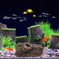 (GGBR) Aquarium Decoration Cave, Resin - Hollow Tree Trunk Log Aquarium Ornament Fish Tank Wood Hideout for Betta. 