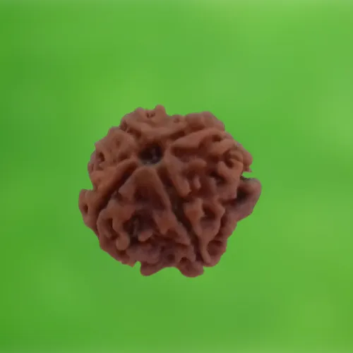 4%20Mukhi%20Rudraksha%20Small%20Size%20Good%20Luck%20-%20Image%203