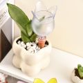 Creative Tulip Shape Plant Automatic Watering System Balls Plastic Decorative Drip Irrigation Stakes Clear Plant Waterer. 