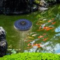 Solar Pond Aerator Oxygen Pump With Air Hose and Bubble Stone.