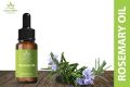 Rosemary Essential Oil 30 ml Pure No additives / Herbs Nepal. 