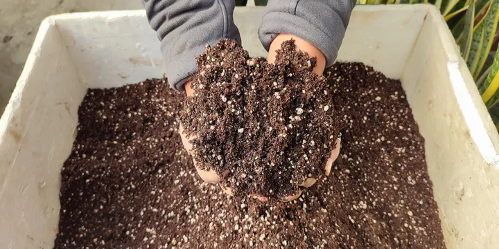 General%20Potting%20Soil%20Mix-%205Kg%20Ready%20To%20Use%20-%20Image%203