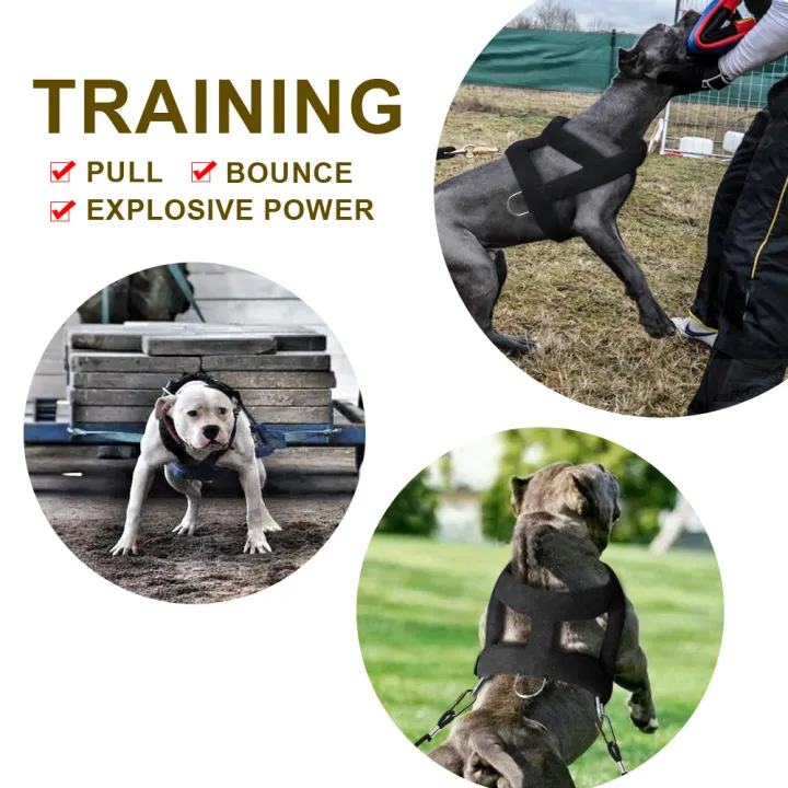 HOT%20Dog%20Weight%20Pulling%20Harness%20Soft%20Padded%20Dogs%20Harnesses%20Pitbull%20Big%20Large%20Dogs%20Training%20Harness%20Pet%20Agility%20Products%20-%20Image%203