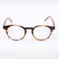 Brown Hard Coated Glasses For Women. 