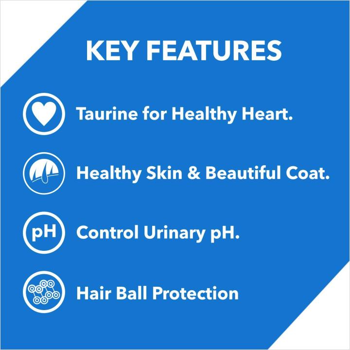 Drools%20Kitten%20Ocean%20Fish%20Dry%20Cat%20Food%20-%20400Gm%20-%20Image%202