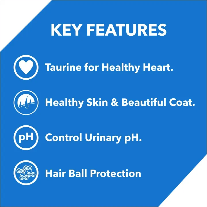 Drools%20Kitten%20Ocean%20Fish%20Dry%20Cat%20Food%20-%20400Gm%20-%20Image%202