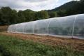 30x50 Feet  / 9.2*15.24 Meter Superpaulin Poly Tunnel Plastic 120 GSM/ Durable / Waterproof / Sustainable. 
