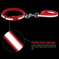 Puppy Collar | Kitten Collar | Cat Collar And Leash Set Reflective, Night Safety | Adjustable With Bell. 