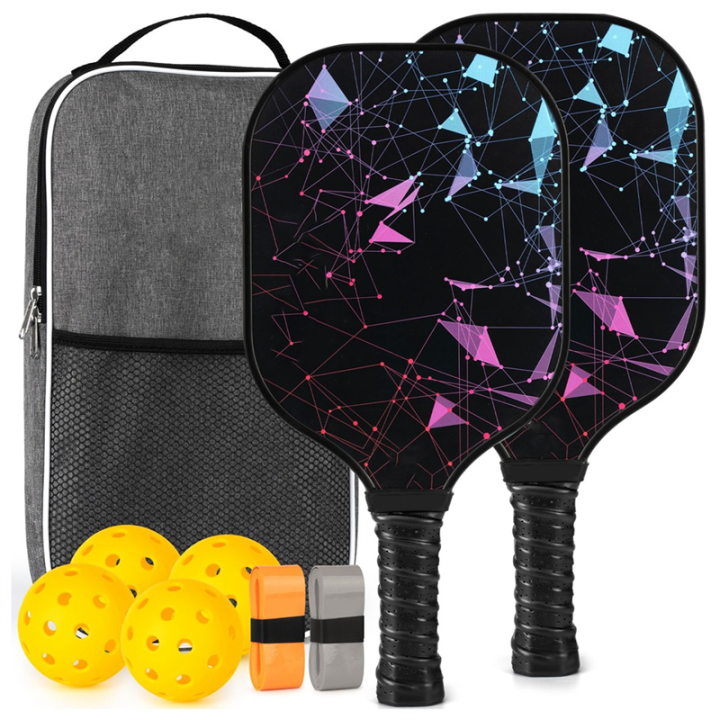 Pickleball Paddle, Fiberglass Pickleball Set with 2 Pickleball Paddles