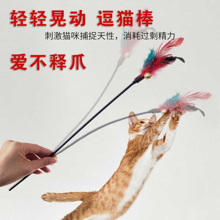 Teasing%20cat%20stick%20cat%20toys%20teasing%20cat%20supplies%20self%20hi%20bite%20resistant%20long%20stick%20teasing%20cat%20stick%20feather%20cat%20scratching%20board%20nail%20clippers%20-%20Image%202
