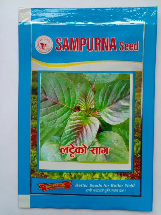 Latte%20Saag%20Seeds%20More%20Than%201000%20Plus%20Seeds%20(Mix%20Red%20and%20Green%20-%204%20Gram)%20-%20Image%202