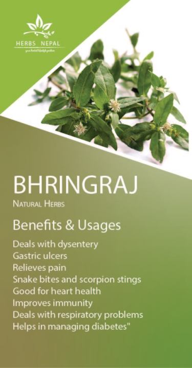 Bhringraj%20Powder%20200%20GM%20/Herbs%20Nepal%20-%20Image%204