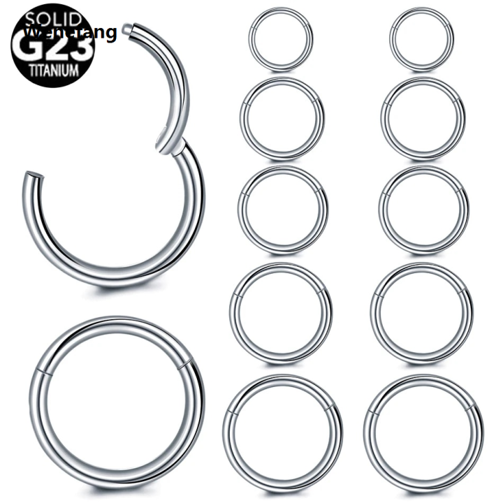 Wenefang%201PC%20Titanium%2020G%20Hinged%20Segment%20Nose%20Septum%20Rings%20Body%20Clips%20Hoop%20For%20Women%20Men%20Cartilage%20Helix%20Lip%20Eyebrow%20Piercings%20Jewelry%20-%20Image%203