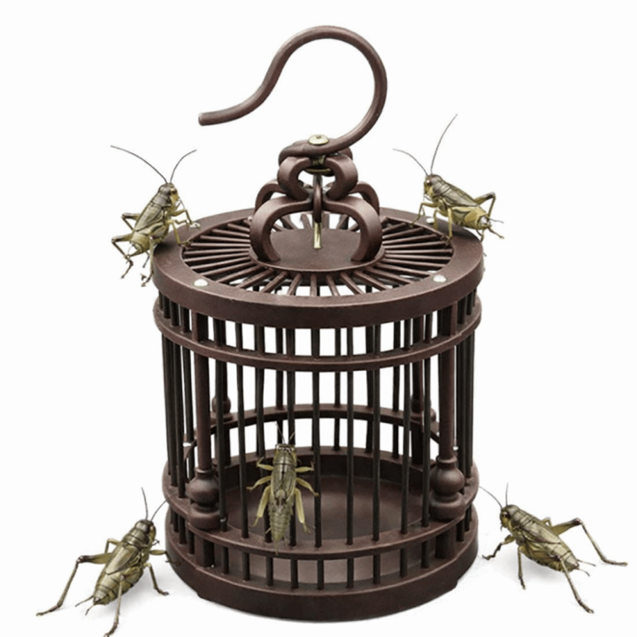 Cricket Rack Durable Handmade Grasshopper Cage Woven Bamboo Plastic Cricket Cages ...