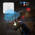 ARELENE Tuya Zigbee Human Presence Sensor 24G Human Presence Millimeter Wave Radar Sensor Light Sensing. 