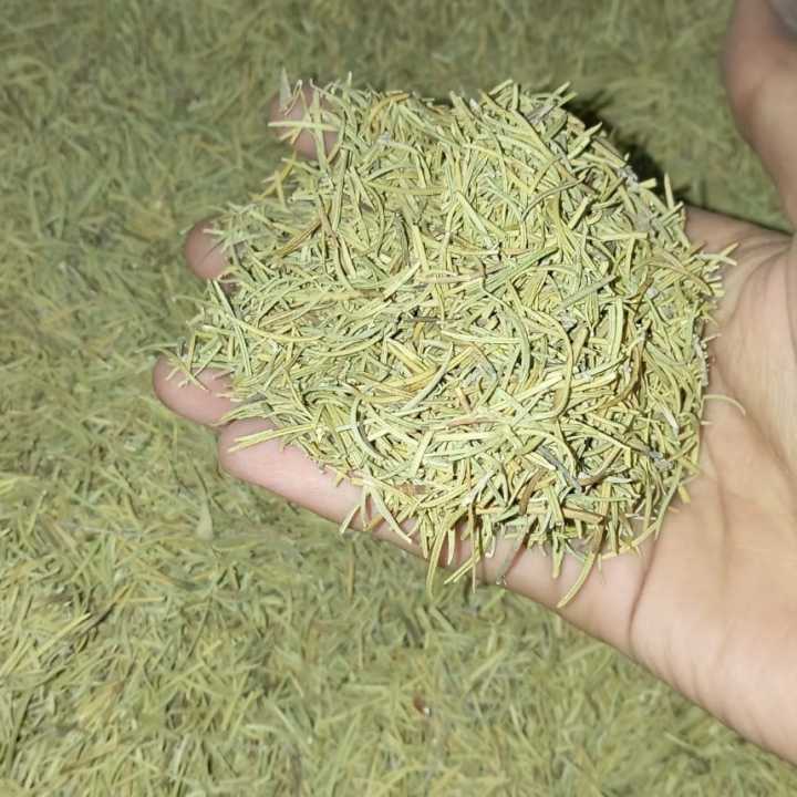 Rosemary%20Leaves%20(%20Dried%20Rosemary%20)%20-%20100%20gm%20-%20Image%203