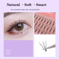 Anlinnet Professional Makeup 60 clusters Personal Cluster Eyelash Single tuft of M sandwich eyelash Grafting False Eyelashes. 