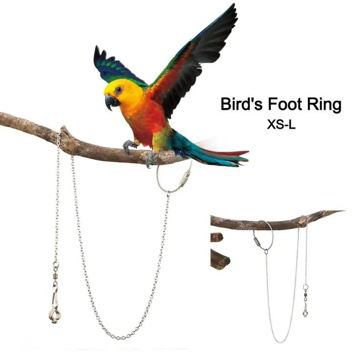 Bird Accessories Stainless Steel Safe Bird's Foot Ring Anklet Ankle ...
