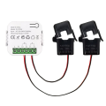 Tuya Smart WiFi Energy Bidirection Meter Single Phase with Buzzer 2CT. 