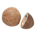 Dry Coconut (Singo Nariwal)-100Gm. 