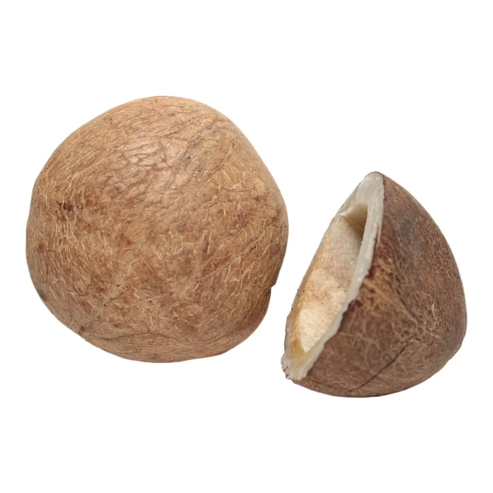 Dry%20Coconut%20(Singo%20Nariwal)-100Gm%20-%20Image%203