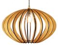 Oval Shaped Hanging Lamp. 
