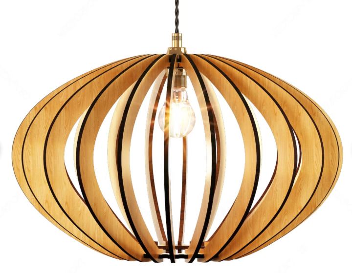Oval Shaped Hanging Lamp