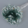 25m Clear White Green Monofilament Fishing Fish Gill Net w Float. 