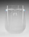 Face Shield with Goggle Frame. 