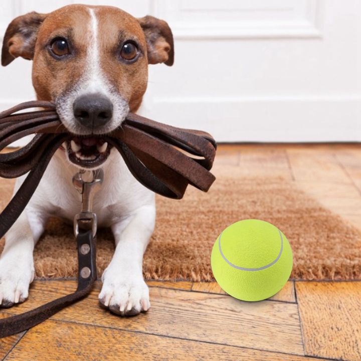 9.5"%20Oversize%20Giant%20Tennis%20Ball%20for%20Children%20Adult%20-%20Image%203