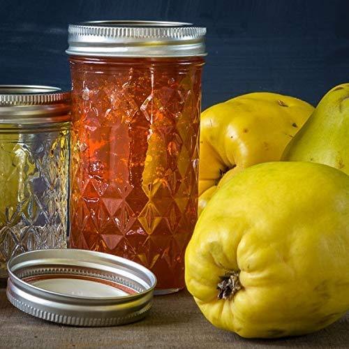 Glass%20Jar%20With%20Silver%20Air%20Tight%20Lid-%20Pack%20Of%204%20-%20Image%204