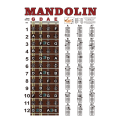 SptrryMandolin Poster Chart Chord Musical Trainning Instrument Guide Chords Fretboard Fingering Chart. 