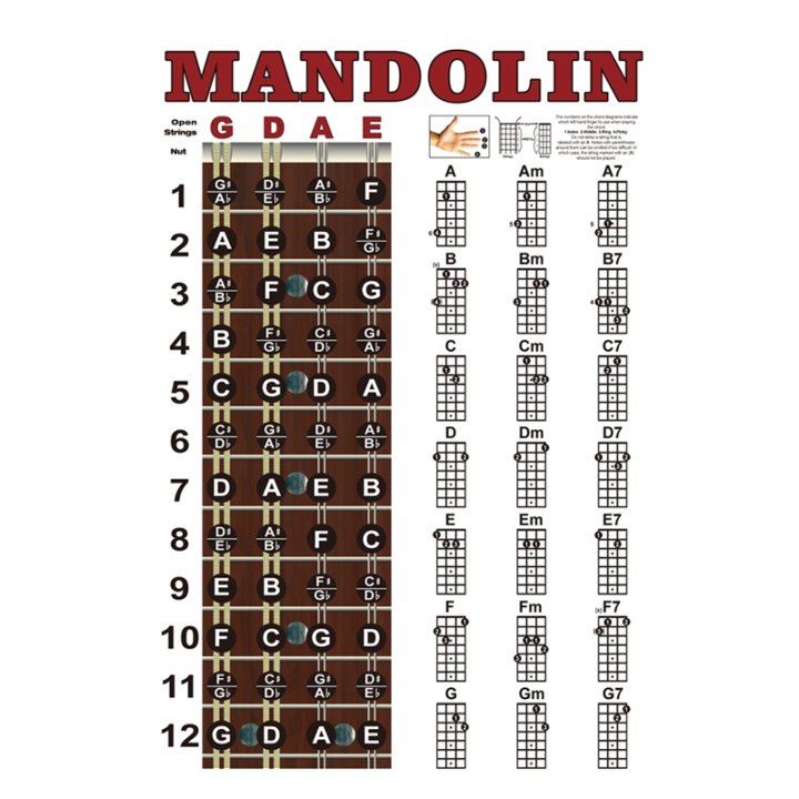 SptrryMandolin%20Poster%20Chart%20Chord%20Musical%20Trainning%20Instrument%20Guide%20Chords%20Fretboard%20Fingering%20Chart%20-%20Image%203