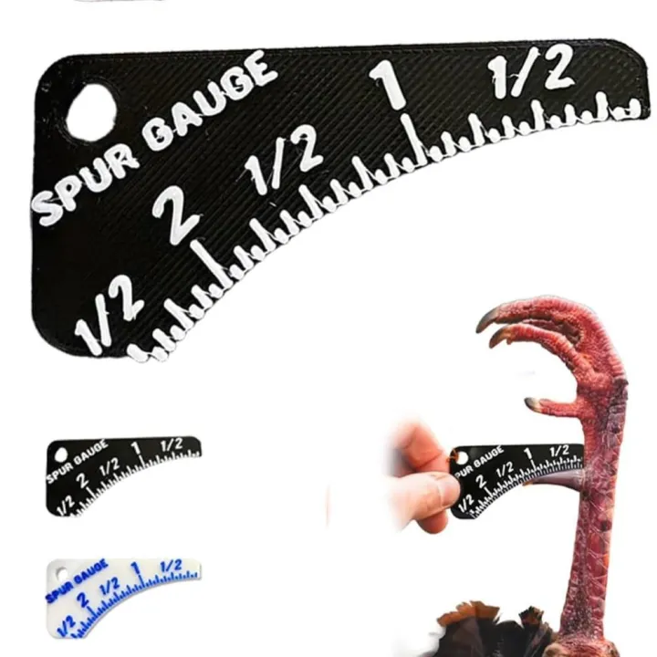 New%20Multifunctional%20Wild%20Turkey%20Spur%20Gauge%20Portable%20Compact%20Turkey%20Spur%20Measure%20Ruler%20Durable%20Turkey%20Spur%20Age%20Measurement%20Tools%20Determine%20Turkey%20Age%20and%20Size%20-%20Image%206