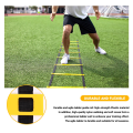 JAERBEE Sports Speed Agility Training Set 10 Disc Cones and Agility Ladder for Football Basketball Rugby Track. 