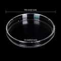 10 PCS Borosilicate Petri Dishes With Lid And 10 Pcs Transfer Pippet, 80mm x 15mm Sterile Petri Dishes For Bioresearch Science Art Projects. 