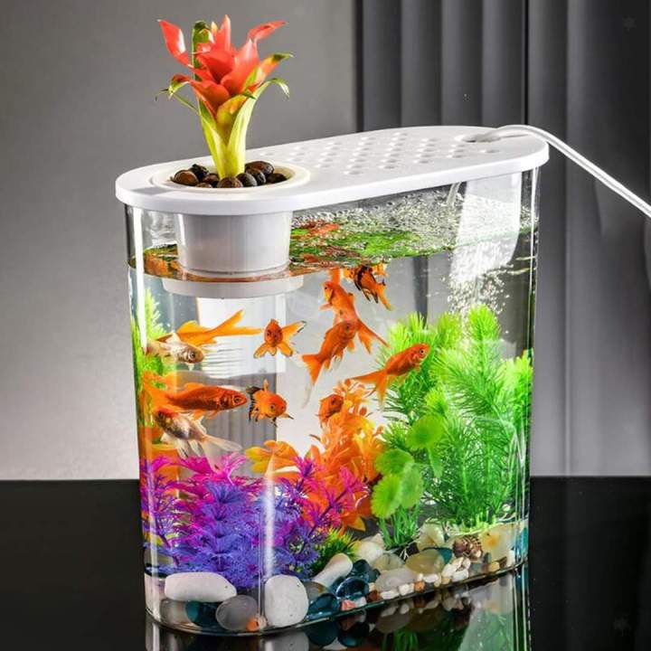 Transparent Plastic Aquarium Small Fish Tank Soil Cultivation