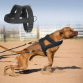 HOT Dog Weight Pulling Harness Soft Padded Dogs Harnesses Pitbull Big Large Dogs Training Harness Pet Agility Products. 