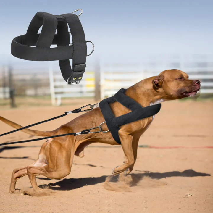 HOT%20Dog%20Weight%20Pulling%20Harness%20Soft%20Padded%20Dogs%20Harnesses%20Pitbull%20Big%20Large%20Dogs%20Training%20Harness%20Pet%20Agility%20Products%20-%20Image%202
