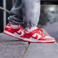 SB Dunk Low Pro Red Premium Shoes For Men. 