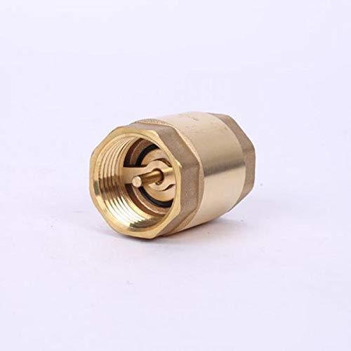 Brass%201"%20Check%20Valve/%20Brass%20&%20Spring%20Made%20Of%20Stailess%20steel%20-%20Image%203